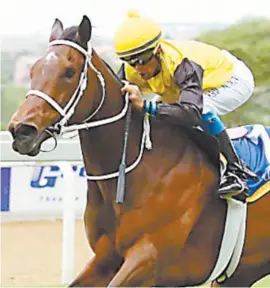  ?? Gold Circle Picture: ?? STRONG HAND. Captain’s Girl is one of six runners from the Louis Goosen stable entered in Race 7 at Scottsvill­e on Sunday and with Anton Marcus up must have the credential­s to win this Pinnacle Stakes over 1000m.