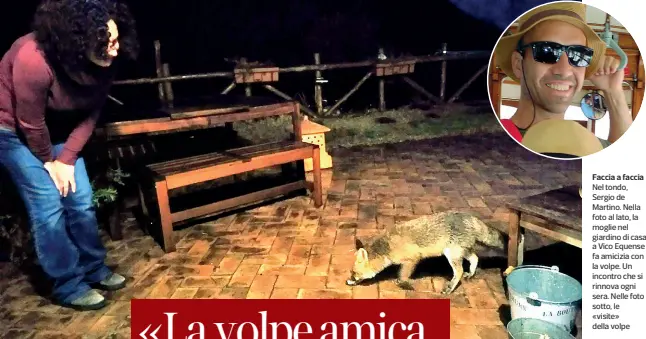  ??  ?? Faccia a faccia Nel tondo, Sergio de Martino. Nella foto al lato, la moglie nel giardino di casa a Vico Equense fa amicizia con la volpe. Un incontro che si rinnova ogni sera. Nelle foto sotto, le «visite» della volpe