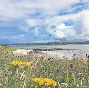  ?? Picture left: RSPB. ?? The future of corncrakes, left, could be under threat after the RSPB Scotland found numbers have dropped dramatical­ly over the past year, especially in places like Benbecula, above.