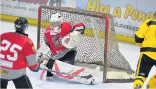  ?? Gw-images.com ?? Nick Manning’s strike settles in the net as the Wild score again against the Blackburn Hawks at Silver Blades Widnes on Sunday.