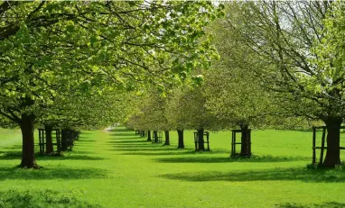  ?? ?? A new 80-tree avenue will be planted at Gloucester­shire’s Dyrham Park, one of 70 National Trust projects nationwide for The Queen’s Platinum Jubilee