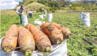  ?? SHUTTERSTO­CK ?? Eric Rivero manifestó que los productos en finca mantienen su precio.