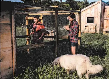  ?? HILARY SWIFT/THE NEW YORK TIMES ?? Morgan Gold is joined by his wife, Allison Ebrahimi Gold, and their dog, Toby, on Gold Shaw Farm as he records an episode.