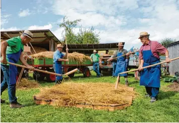  ?? Foto: Christine Gumpp ?? Hier geht es rund: Wie in alten Zeiten arbeiten in Ellgau Ulrich Schädle, Rudolf Wenninger, Klaus Eser und Xaver Wenninger mit dem Dreschfleg­el.