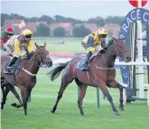  ??  ?? Top Euchen Glen can win big at Newmarket on Saturday. Below The versatile Golden Jeffrey can win at Ayr on Thursday