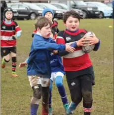  ??  ?? Wicklow RFC’s under-10s in action against St Mary’s last weekend.