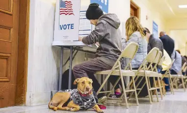  ?? REUTERS ?? A dog waits for its owner to finish voting at the San Francisco City Hall voting center during the Super Tuesday primary election in San Francisco, California on Tuesday.