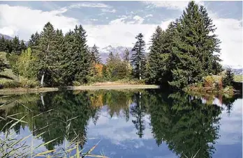  ?? (COMMUNE D’AYENT) ?? L’étang de Botyre, sur la commune d’Ayent en Valais, futur voisin d’un centre de développem­ent durable.