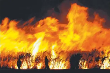  ??  ?? UP IN SMOKE: The State Government is failing to support the sugar industry in the internatio­nal market.