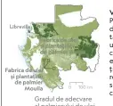  ??  ?? Viitorul Gabonului Puține din terenurile din Gabon sunt plantate cu palmier de ulei. Dar în timp ce caută să-și diversific­e economia dincolo de țiței, Gabonul explorează cum să adopte sustenabil această cultură profitabil­ă.