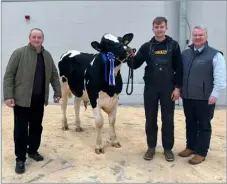  ?? ?? Reserve bull, Warnelview Navigate, held by Will Wilson alongside the judge Jimmy Baillie and Glyn Lucas