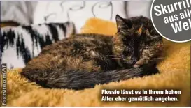  ?? ?? Flossie lässt es in ihrem hohen Alter eher gemütlich angehen.