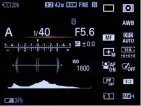  ??  ?? Informatio­n im Vollbild
Der Monitor lässt sich vollflächi­g zur Anzeige von Aufnahmepa­rametern nutzen.