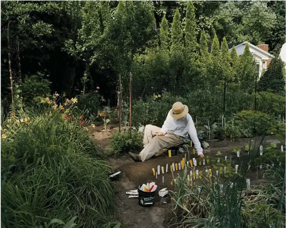  ??  ?? Above A solitary gardener in Northampto­n, Massachuse­tts, seems engrossed in his work in this portrait by Sheron Rupp, 2004.