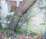  ?? (Pic: Limerick City & County Council) ?? Photos made available by the council show the ‘ruinous’ state of the property at 2 High Street, Kilfinane.