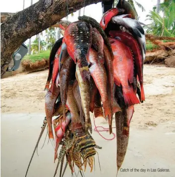  ??  ?? Catch of the day in Las Galeras.