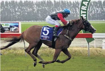  ??  ?? Above: Shaara and Gosen Jogoo winning the Omakau Cup in January 2018.