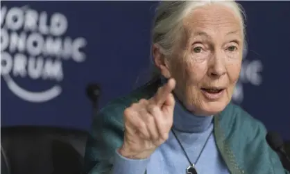  ?? Photograph: Alessandro della Valle/AP ?? Jane Goodall has blamed the Covid-19 pandemic on the exploitati­on of the natural world.