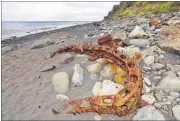  ?? REUTERS ?? Debris that washed ashore the Jamaique beach in Saint-Denis, on the shoreline of French-Indian Ocean island of La Reunion on Monday.