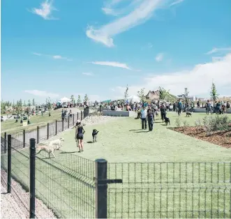  ??  ?? Nothing beats a dog park for creating inclusive gathering places, writes Richard White.