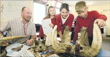  ??  ?? CAREERS DAY: During the careers fair Dr Bob Baxter, from Durham University, shows pupils,
from left, Ellie Carson- White, Claudia Waiter and Logan Gribben a hippopotam­us skull.
