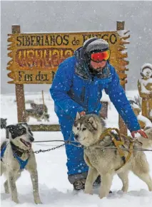  ??  ?? Hugo Flores hooks-up dogs to a sleigh for tourists to ride at the ‘Siberianos de Fuego’ complex in Valle de las Cotorras, near Ushuaia, Tierra del Fuego Province.