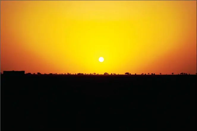  ??  ?? Sunset in Wafra’s farms. (Basheer Alkhairall­ah – KUNA)