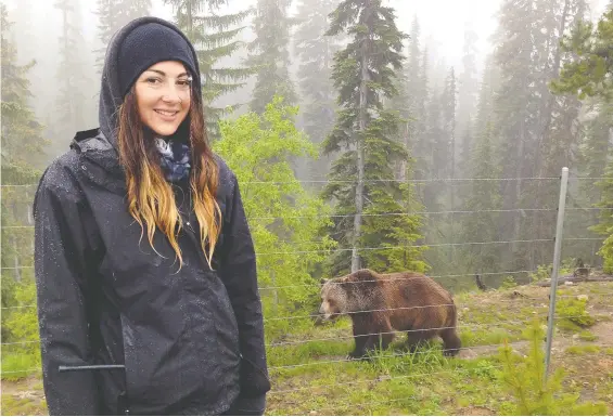  ?? JOANNE BLAIN ?? Visitors to Golden can check in on Boo, an orphaned grizzly bear, at his 20-hectare refuge halfway up the hill at Kicking Horse Mountain Resort.
