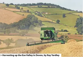  ??  ?? > Harvesting up the Exe Valley in Devon, by Ray Yardley