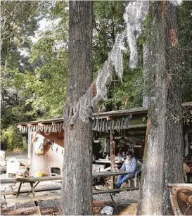  ?? Shannon Tompkins / Houston Chronicle ?? Squirrels once were the most popular game animal in East Texas, and “squirrel camps,” such as this one in Panola County, were common across the region.