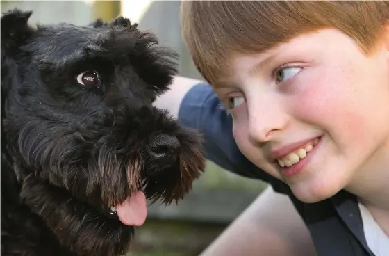  ?? Picture: GLENN HAMPSON ?? Hamish Bruhn, 11, with his dog Sparky. Griffith University is looking for children for a new virtual reality study to help treat dog phobias.