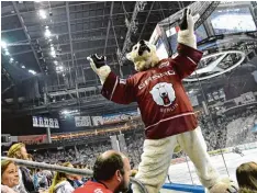  ?? Foto: dpa ?? Jubel, Trubel, Eisbärenze­it: Das Maskottche­n der Berliner und die Fans feiern den Tri umph über München.