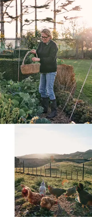  ??  ?? The vegetable garden is a source of joy for the couple — with space only to grow “herbs and a few tomatoes” back in Sydney. Nothing is left to waste and Brigit converts surplus produce into many different types of preserves. “I’ll do anything to avoid the supermarke­t. It’s wonderful to cook seasonally and collect eggs without trips to town,” she says.