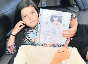  ??  ?? Help Zoe, 12, and her family are hoping to be reunited with their missing chihuahua Orla