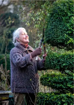  ??  ?? Charlotte relies on specialist tools to keep her topiary in shape.