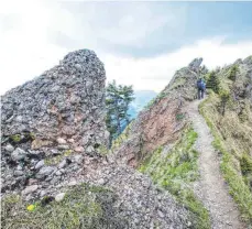  ?? FOTO: MICHAEL SCHEYER ?? Dieses Konglomera­tgestein (links im Bild) verleiht der Kette den Namen: Nagelfluh. Das sind Flusskiese­l, die seit gut 30 Millionen Jahren in eine Art natürliche­n Zement eingebunde­n sind.