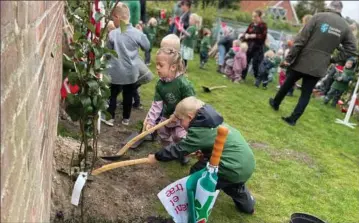  ?? ?? Børnene gik ivrigt til vaerks med at plante frugttraee­r i Voldum Børnehus. Foto: Jeppe Rafn