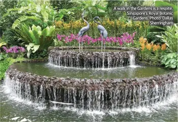  ??  ?? A walk in the Gardens is a respite. Singapore’s Royal Botanic Gardens. Photo: Dallas Sherringha­m