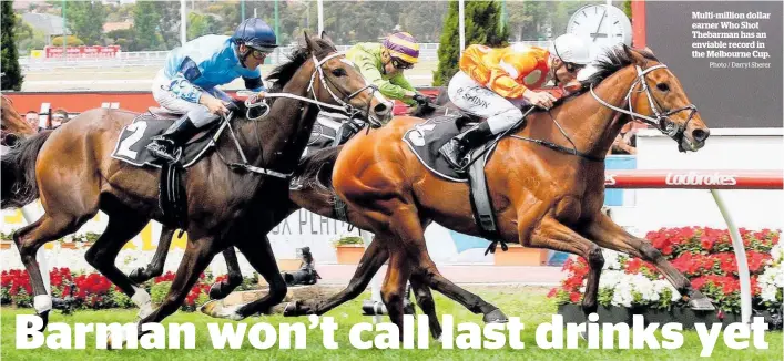  ?? Photo / Darryl Sherer ?? Multi-million dollar earner Who Shot Thebarman has an enviable record in the Melbourne Cup.