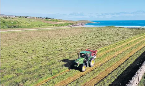  ??  ?? The shearing and silage is finished at Armadale thanks to favourable weather.