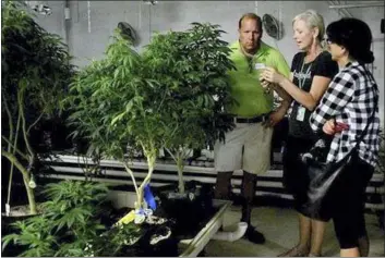  ?? MEDIANEWS GROUP FILE PHOTO ?? State Sen. Daylin Leach, D-17of Lower Merion, tours a marijuana production facility in Colorado in July 2014.