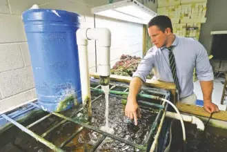  ?? STAFF FILE PHOTO ?? In May, Principal Matt Harris shows off the aquaponics lab and other environmen­tal work at Gilbert Elementary School.