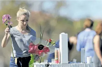  ?? GERALD HERBERT/THE ASSOCIATED PRESS ?? A woman places flowers at one of 17 crosses placed for the victims of Wednesday’s mass shooting at Marjory Stoneman Douglas High School, in Parkland, Fla., on Friday.