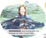  ?? ?? EXPERIENCE. Interactin­g with the stingray at Cebu Ocean Park.