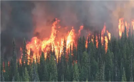  ?? B.C. WILDFIRE SERVICE HANDOUT FILE PHOTO ?? The Shovel Lake fire, the largest wildfire in the province, is seen from the air in an undated handout photo from the B.C. Wildfire Service. Some residents of the Francois Lake area feel they’ve been overlooked by the province, as resources are concentrat­ed on higher-profile fires.