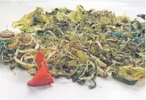  ??  ?? This handout picture shows debris removed by government veterinari­ans from the stomach of the green turtle. — AFP photo