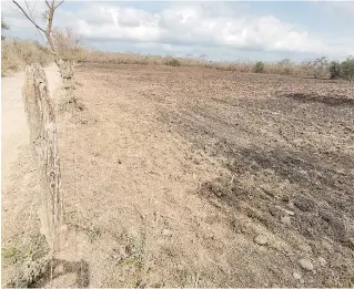  ?? ALFREDO MÁRQUEZ ?? Los campos arados se han quedado sin sembrar.