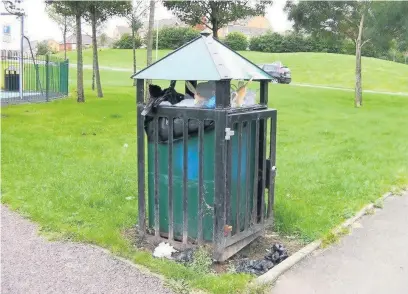  ?? IAN SPILLER ?? The council is cracking down on littering across the borough – including dog-fouling