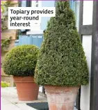  ??  ?? Topiary provides year-round interest