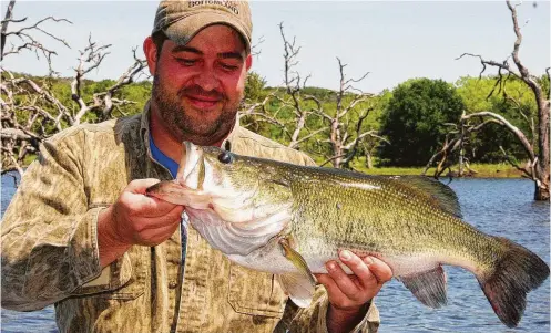  ?? Shannon Tompkins / Staff ?? Anglers have entered more than 400 largemouth bass weighing 8 pounds or more caught from 80 lakes and rivers in Texas since a revamped version of the state's iconic ShareLunke­r program debuted at the start of this year.